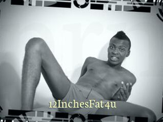 12InchesFat4u