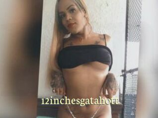 12inchesgatahott