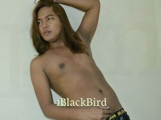 1BlackBird