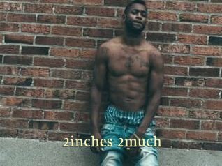 2inches_2much