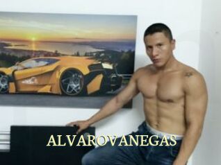 ALVAROVANEGAS Porn str8