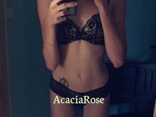 AcaciaRose