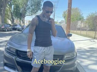 Aceboogiee Porn str8