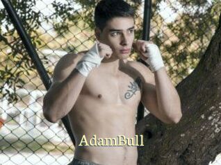 AdamBull Porn str8
