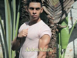 AidenAdam Porn str8