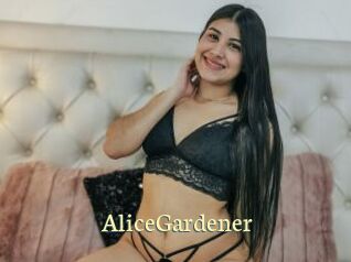 AliceGardener Porn str8