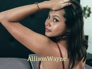 AllisonWayne Porn str8