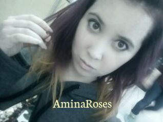 AminaRoses Porn str8
