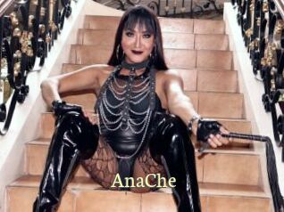 AnaChe Porn str8