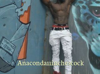 Anaconda11inchescock Porn str8