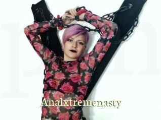 Analxtremenasty