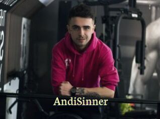 AndiSinner