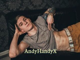 AndyHandyX