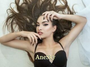 AneSky Porn str8