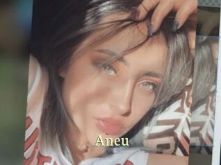 Aneu