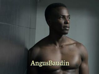 AngusBaudin Porn str8