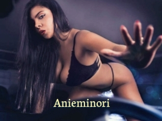 Anieminori Porn str8