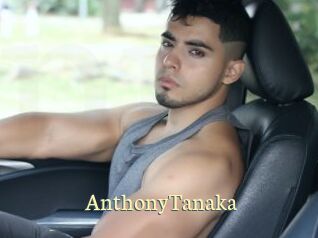 AnthonyTanaka Porn str8