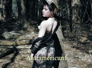 Antiamericunt Porn str8
