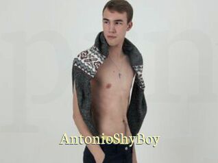 AntonioShyBoy