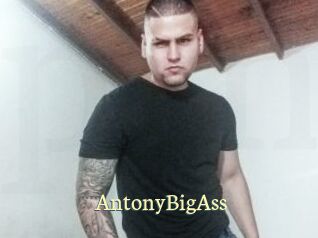 AntonyBigAss