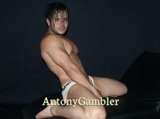 AntonyGambler