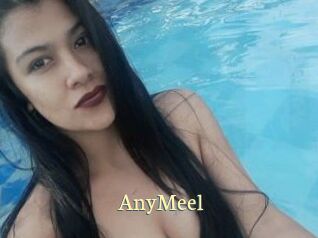 AnyMeel Porn str8