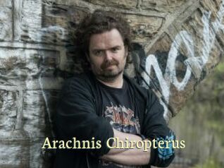 Arachnis_Chiropterus
