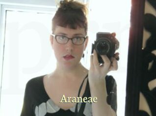 Araneae