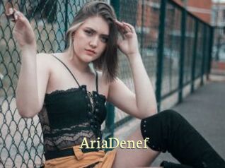 AriaDenef
