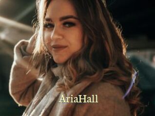 AriaHall Porn str8