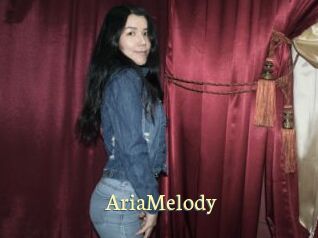 AriaMelody Porn str8