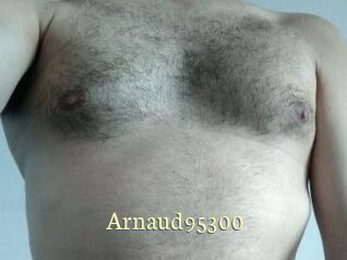 Arnaud95300