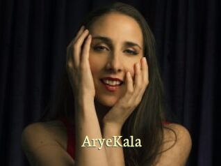 AryeKala Porn str8