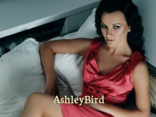 AshleyBird