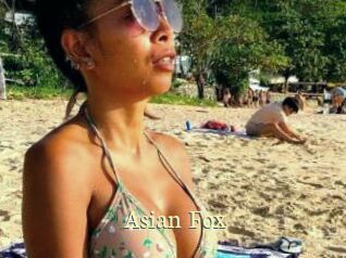 Asian_Fox