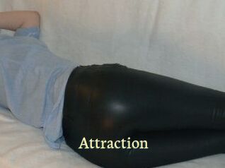 Attraction Porn str8