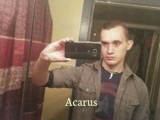 Acarus
