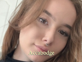 Accabodge
