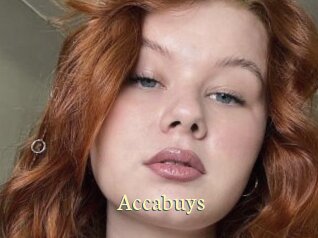 Accabuys