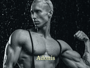 Adonis