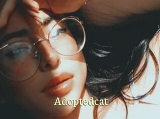Adoptedcat