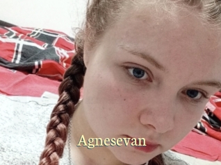 Agnesevan