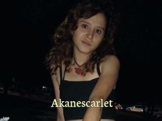 akanescarlet Porn str8