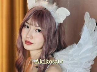 akikosato Porn str8