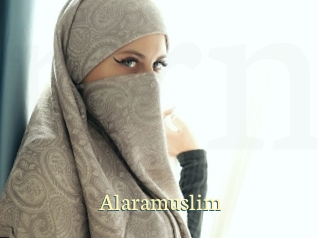 alaramuslim Porn str8