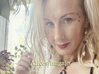 alicesjungalo Porn str8