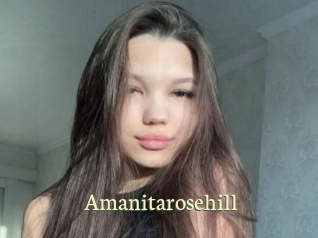 Amanitarosehill