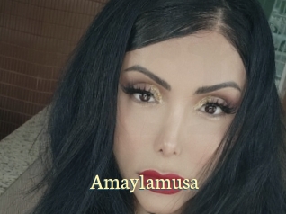 Amaylamusa