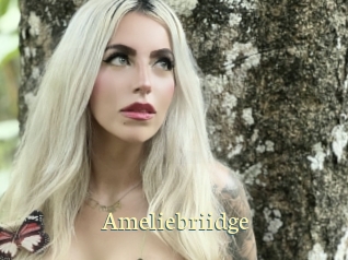 Ameliebriidge